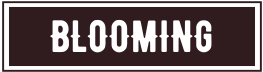 BLOOMING
